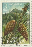 Stamps Spain -  PINO NEGRAL