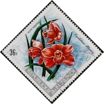 Stamps Africa - Burundi -  Flores