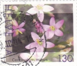 Stamps : Europe : Switzerland :  Centaurium Minus