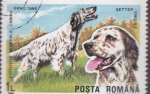 Stamps Romania -  perros