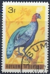 Stamps Burundi -  Afropavo congensis