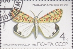 Stamps Russia -  mariposa
