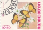 Stamps Africa - Cape Verde -  Mariposas-  Colias electo