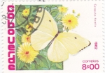 Stamps : Africa : Cape_Verde :  Mariposas- Catopsilia florella