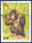 Stamps Benin -  Pan troglodytes