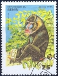 Stamps : Africa : Benin :  Mandrillus sphink