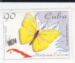 Sellos de America - Cuba -  Mariposas Cubanas-Phoebis sennaes sennaes