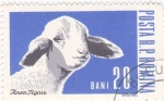 Stamps Romania -  Cordero
