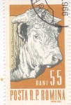 Stamps Romania -  Buey