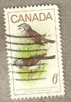 Stamps America - Canada -  Pajaros