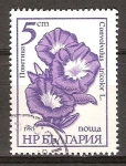Sellos del Mundo : Europa : Bulgaria : Convolvulus tricolor L.(La correhuela de tres colores).