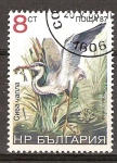 Sellos del Mundo : Europa : Bulgaria : Ardea Cinerea (Garza Real).