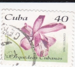 Sellos de America - Cuba -  Orquídeas cubanas