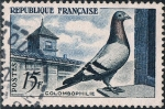 Stamps France -  COLOMBOFILIA. Y&T Nº 1091