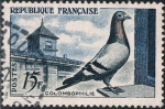 Sellos de Europa - Francia -  COLOMBOFILIA. Y&T Nº 1091