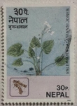 Stamps : Asia : Nepal :  valeriana jatamansi jones 1980
