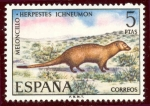 Sellos de Europa - Espa�a -  1972 Fauna Hispánica. Meloncillo - Edifil:2105