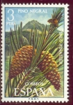 Sellos de Europa - Espaa -  1972 Flora. Pino Negral - Edifil:2087
