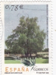 Stamps Spain -  Arboles monumentales-Ahuehuete Jardines del retiro (Madrid)     (L)