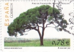 Stamps Spain -  Arboles monumentales-Pino de Fuentepiña,Moguer(Huelva)   (L)
