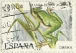 Stamps Spain -  RANITA DE SAN ANTONIO