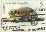 Stamps Spain -  CAMALEON