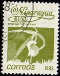 Stamps Nicaragua -  Brassavoia nodosa