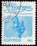 Sellos de America - Nicaragua -  Stachytarpheta indica