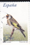 Stamps Spain -  Fauna:    Jilguero                             (L)