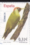 Stamps Spain -  Fauna:   Pito Real                              (L)