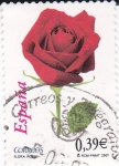 Stamps Spain -  Flora-Rosa    (L)