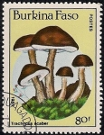 Stamps : Africa : Burkina_Faso :  SETAS