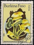 Stamps Africa - Burkina Faso -  SETAS