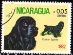 Stamps Nicaragua -  Cocker Spaniel