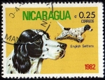 Stamps Nicaragua -  English Setters