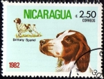 Stamps Nicaragua -  Brittany Spaniel