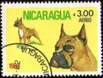 Stamps Nicaragua -  Boxer
