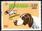 Stamps Nicaragua -  Pointer