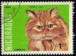 Stamps Nicaragua -  Tabby rojo