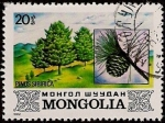Stamps Mongolia -  Pino Iberico