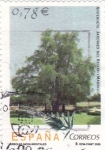 Stamps Spain -  Arboles monumentales-Ahuehuete Jardines del retiro (Madrid)     (L)
