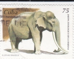 Sellos de Europa - Cuba -  Jardín Zoológico de la Habana- Elephas Maximus