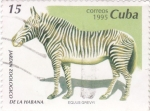Stamps Cuba -  Jardín Zoológico de la Habana- Equus Grevyi