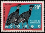 Stamps Africa - Republic of the Congo -  Pintadas de Shouteden