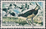 Stamps France -  PÁJAROS. AVEFRÍA. Y&T Nº 1273