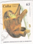 Stamps Cuba -  Jardín Zoológico de la Habana- pongo Pigmaeus