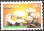 Stamps Europe - Spain -  Micologia calocybe gambosa