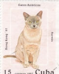 Stamps Cuba -  Gatos Asiáticos- Burmés