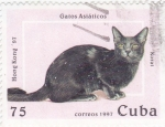 Sellos de America - Cuba -  Gatos Asiáticos- Korat