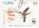 Sellos de America - Cuba -  Fauna amenazada de extinción